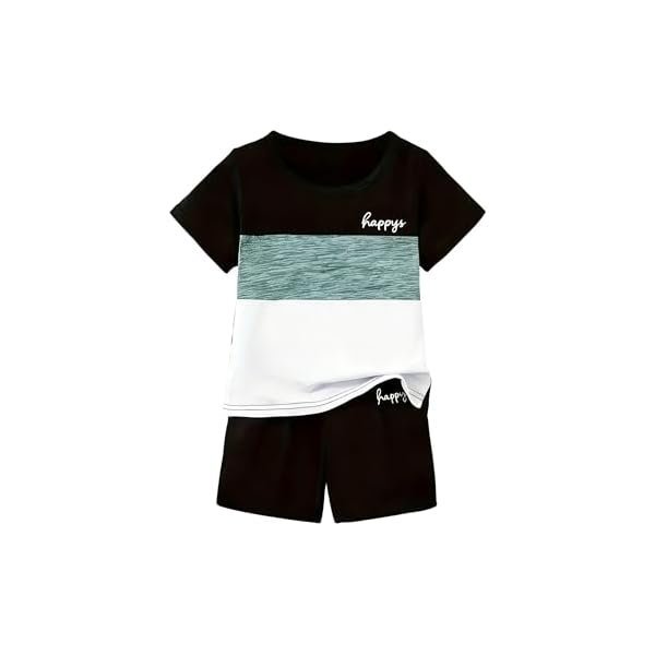 Toddler Kid Boy Clothes Colorblock Letter Graphic Tee Shorts 2PC Summer Outfit Set
