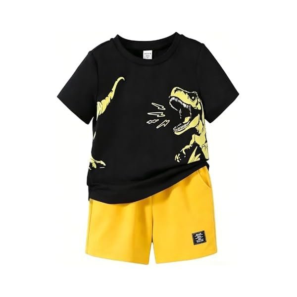 Boys' 2 Piece Summer Outfit Cool Dinosaur & Camouflage Graphic Short Sleeve Tee & Shorts Set Size 4-12